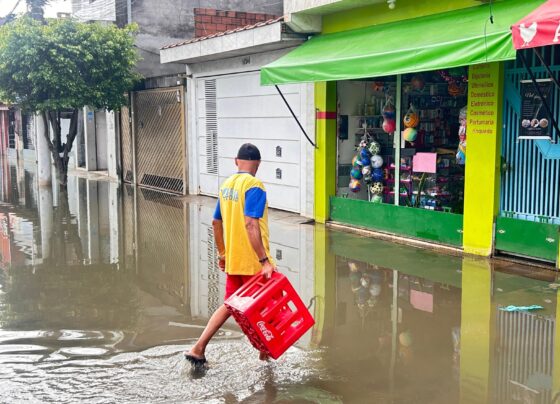 CNN Brasil