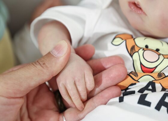 Foto com cor. A relação emocional com os Bebês Reborn - Metrópoles